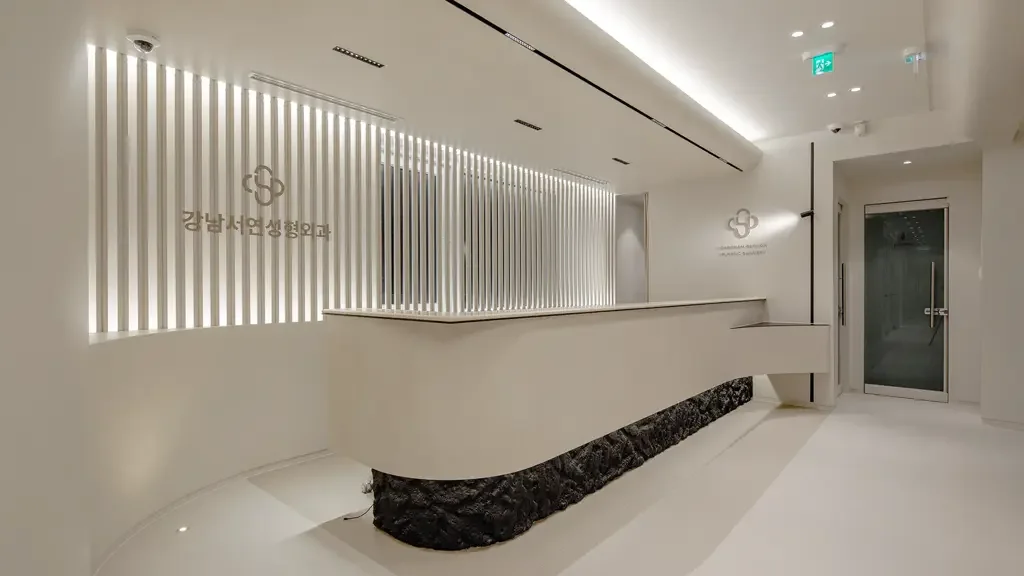 Gangnam Seoyon Plastic Surgery — official clinic photograph 2