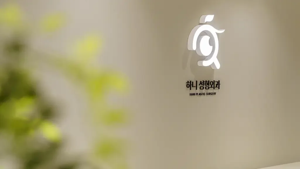 HANI Plastic Surgery — clinic interior