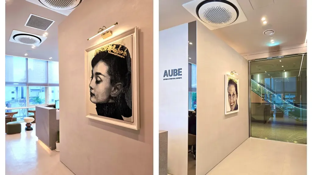 Aube Clinic — clinic spaces