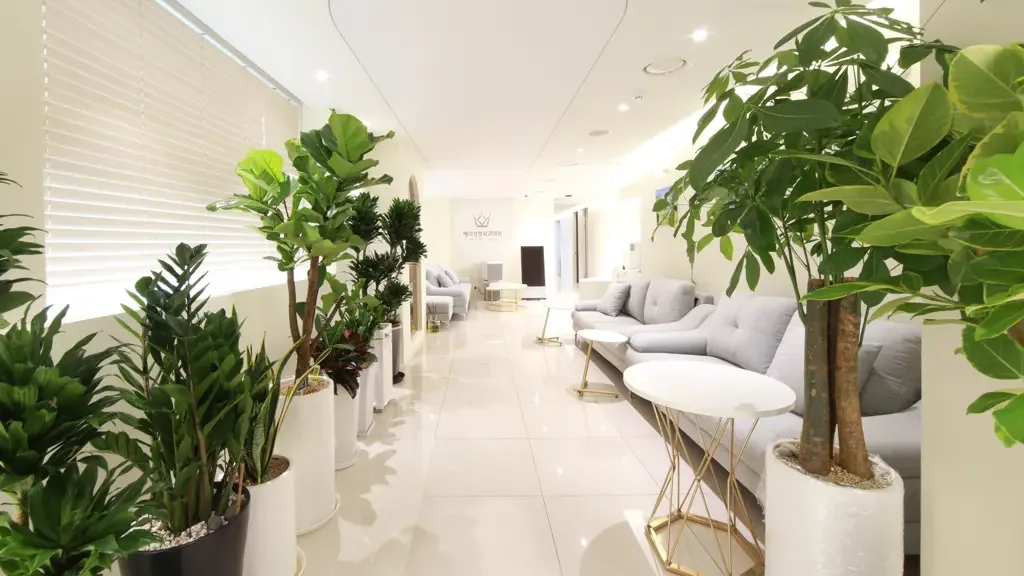 Merry Plastic Surgery Clinic