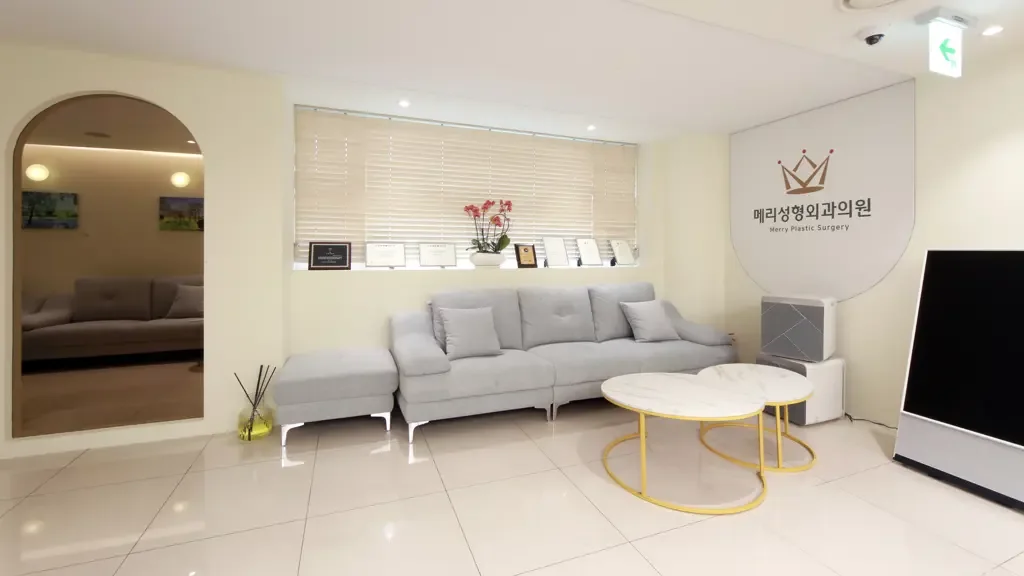 Merry Plastic Surgery Clinic — clinic spaces