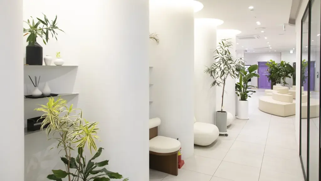 The Beauty Plastic Surgery — clinic spaces